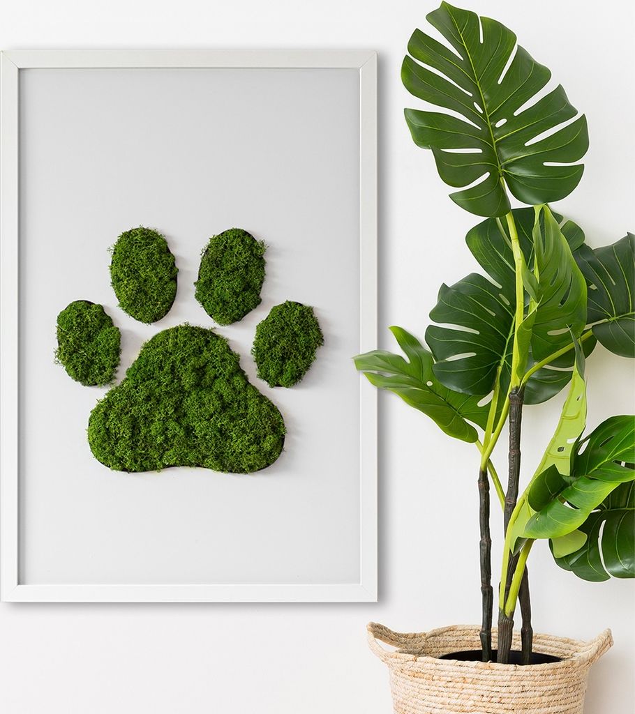 Moosbild mit Echtem Isländisch Moos - 40x60 cm - Weißer MDF-Rahmen - Fußabdruck