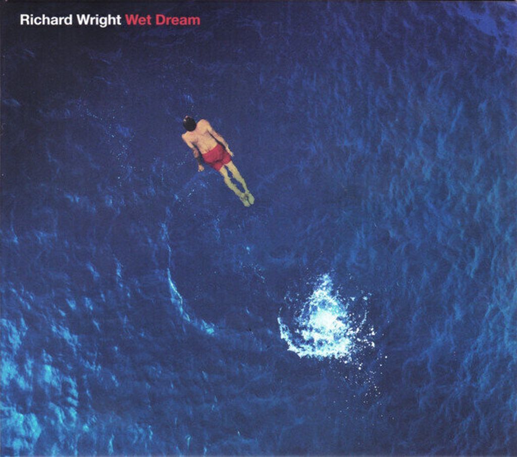 Wet Dream(2023 Remix) Softpak