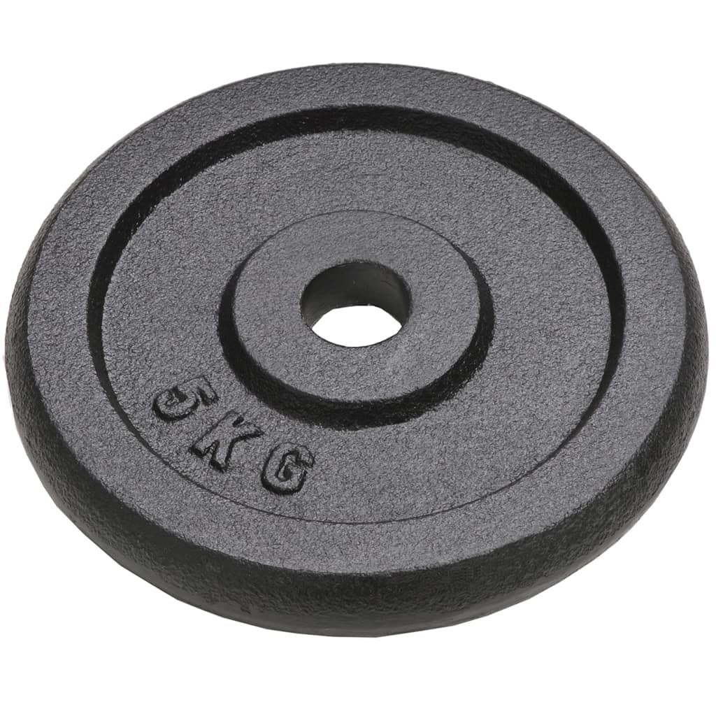 vidaXL Piastre per pesi 4 pezzi 4x5 kg in ghisa Immagine del prodotto 