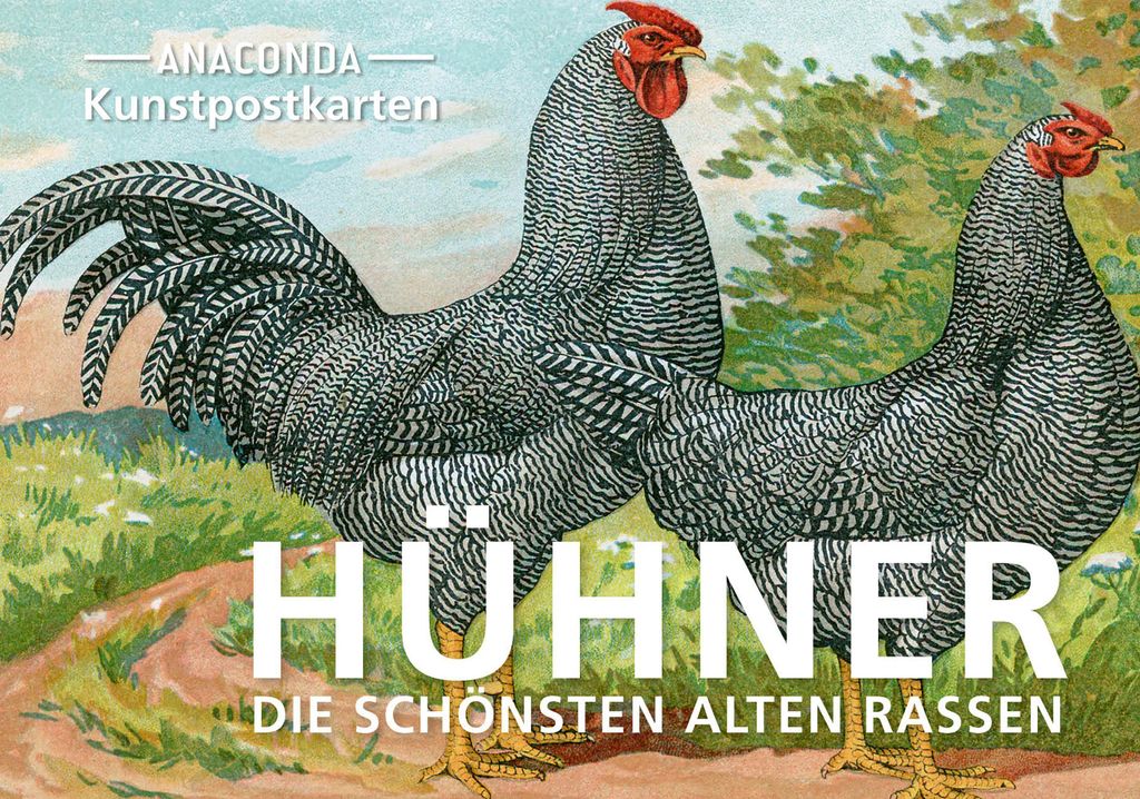 Postkarten-Set Hühner Produktbild 