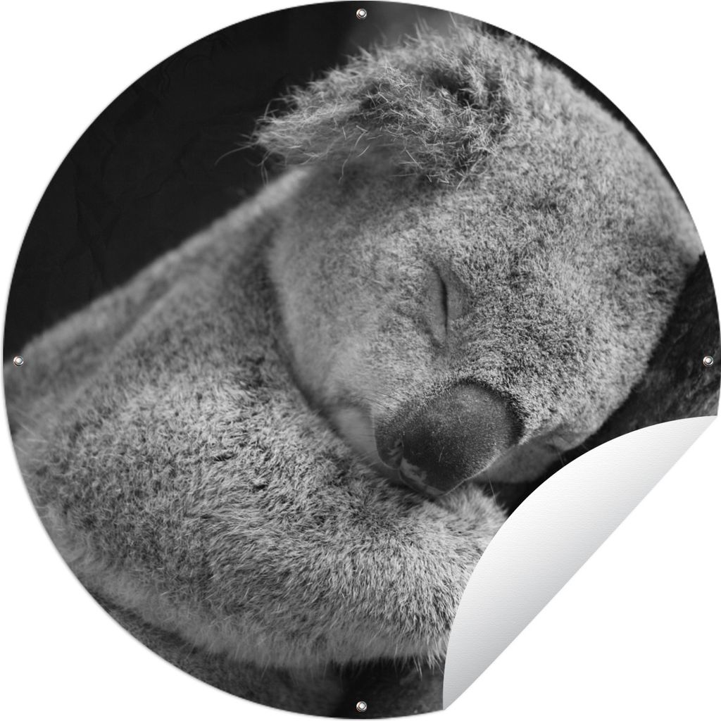 MuchoWow Gartenposter Outdoor-Poster Rund Koala - Schlafend - Schwarz - Kinder - Jungen - Mädchen Ø 60 cm Gartendeko Rundes Poster draußen