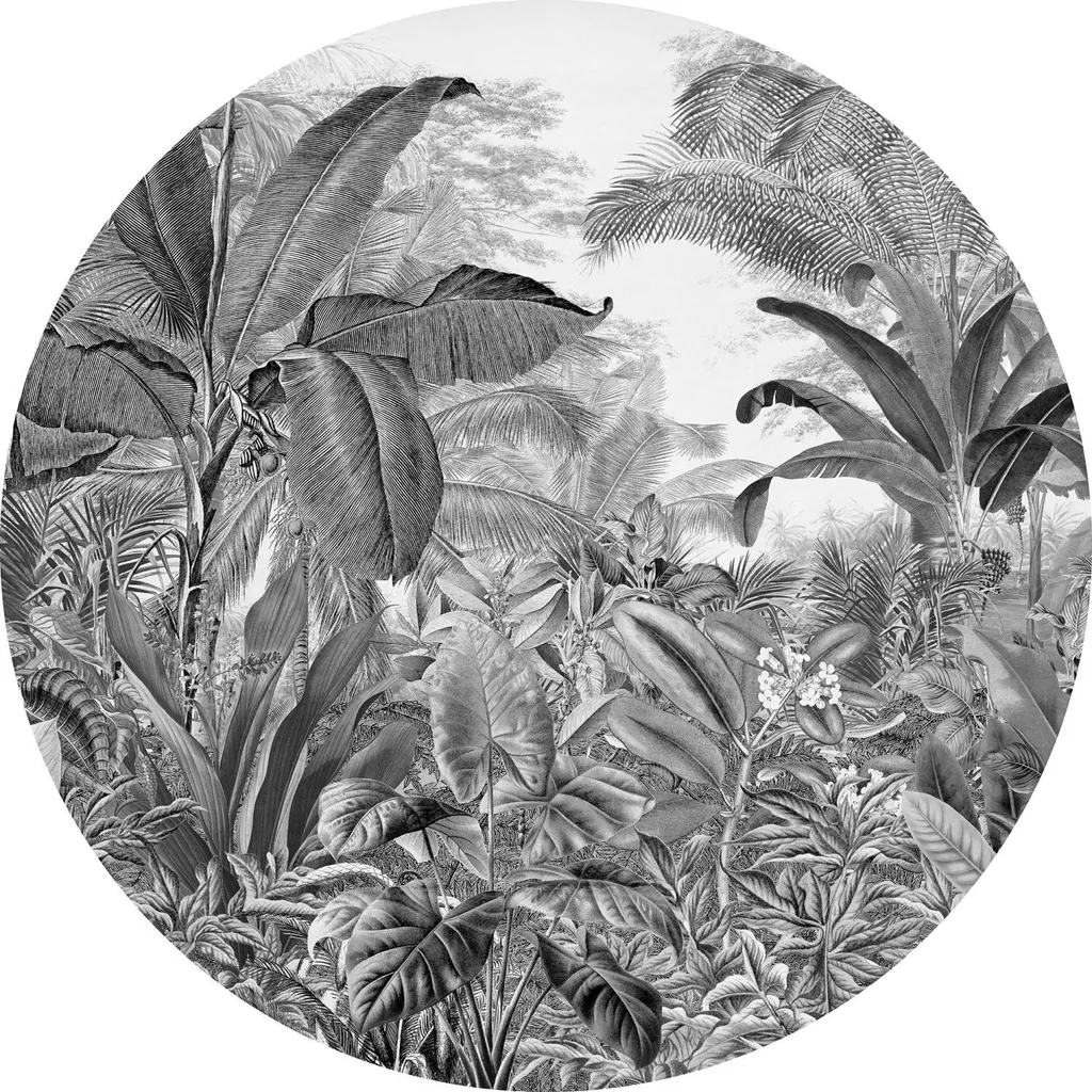 Komar Wild Woods 611162 Wallpaper Circle Ø 125 cm Bianco e Nero