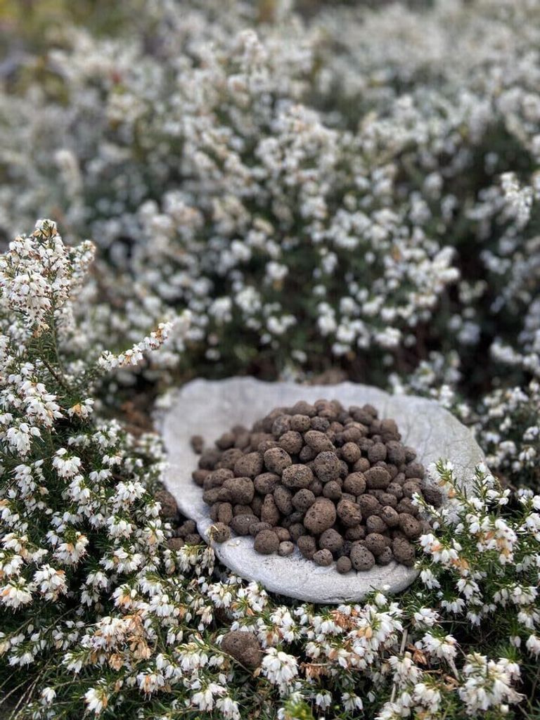 Nova Minerals Keramsit Blähton für den Garten Tongranulat