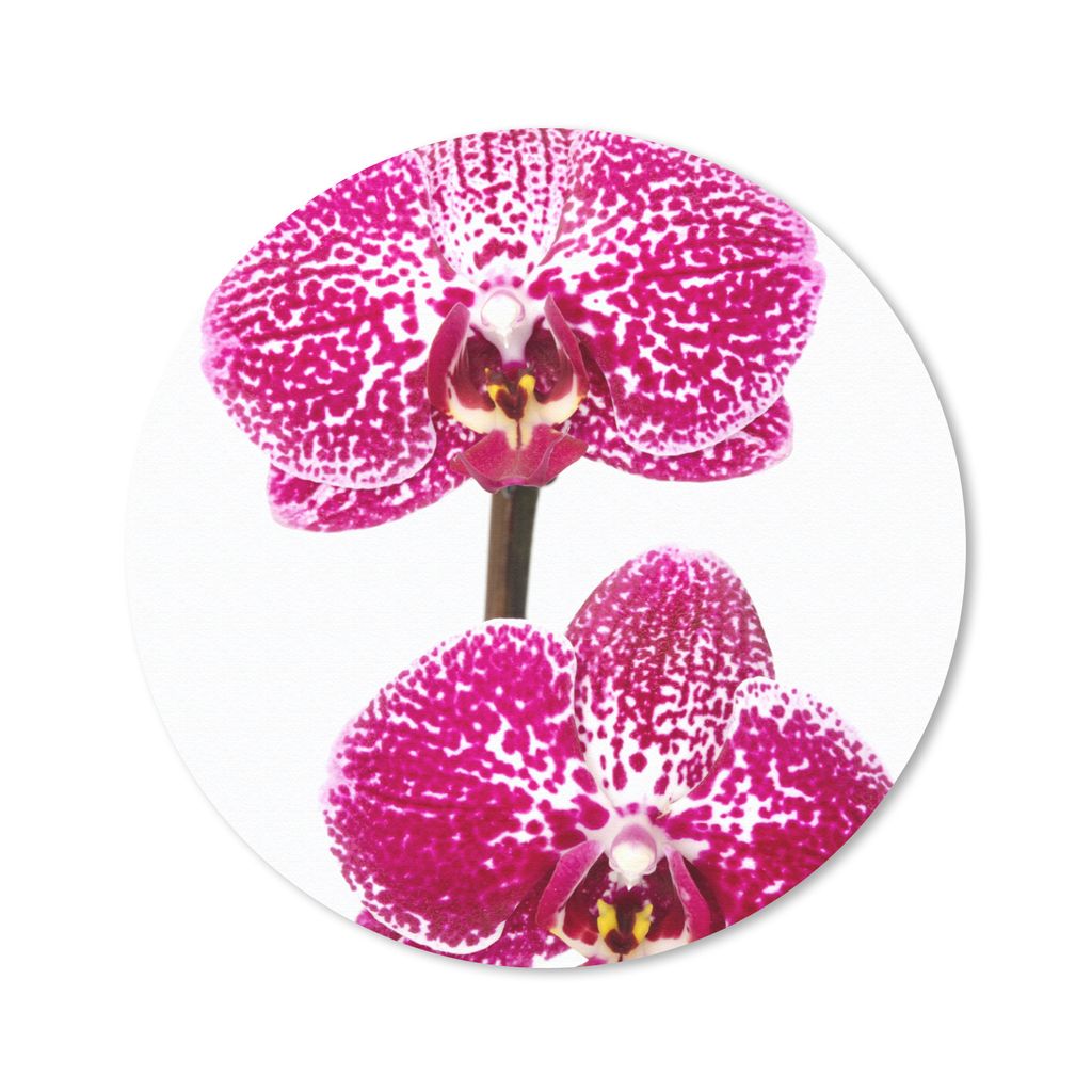MuchoWow Mauspad Mousepad Orchidee rosa 20x20 cm - Mousepads - Maus Mat - Pad - Mausunterlage - Schreibtischmatte