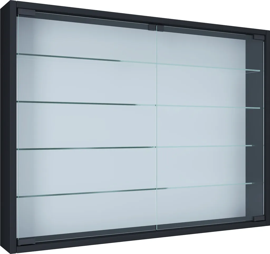 Vitrine Murale Anti-Poussière Mandosa L Noire pour Protéger vos Objets