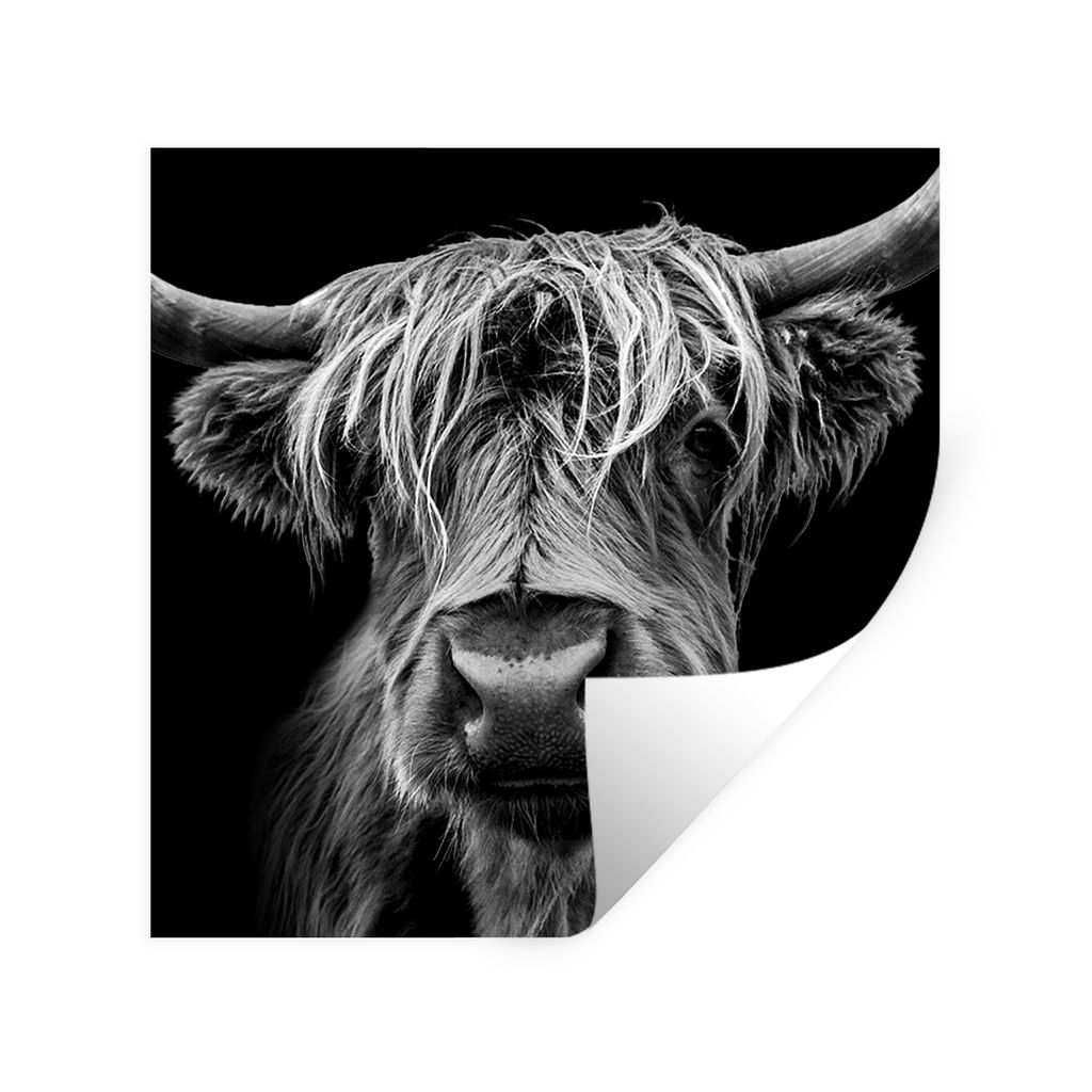 MuchoWow Wandtattoo Wandsticker Wandaufkleber Schottischer Highlander - Hörner - Schwarz - Weiß - Kuh - Wild - Tiere 30x30 cm Selbstklebend und...