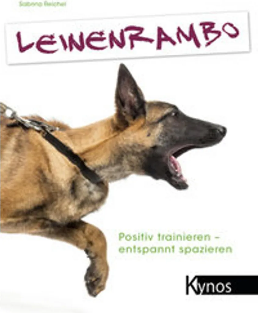 Laisse Leinenrambo robuste en corde nautique pour grand chien de 2m