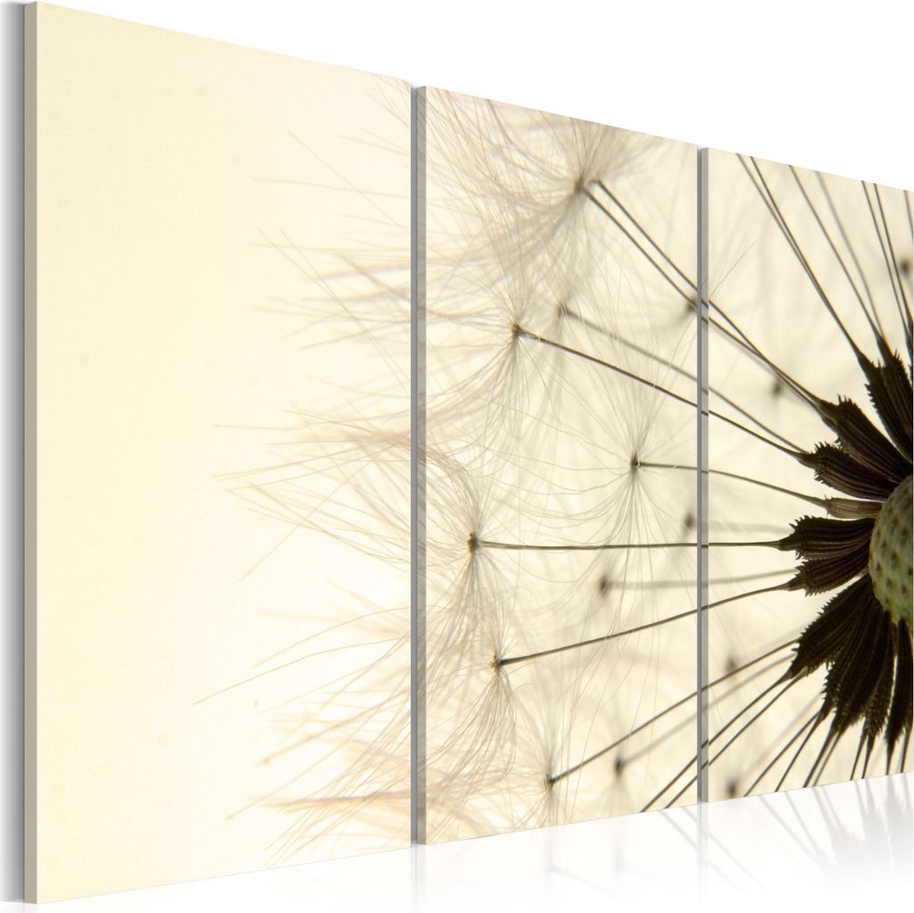 Modernes Wandbild 030210- 35 (120x80) - 3 Teilig Bilder Fotografie auf Vlies Leinwand Foto Bild Dekoration Wand Bilder Kunstdruck Blumen