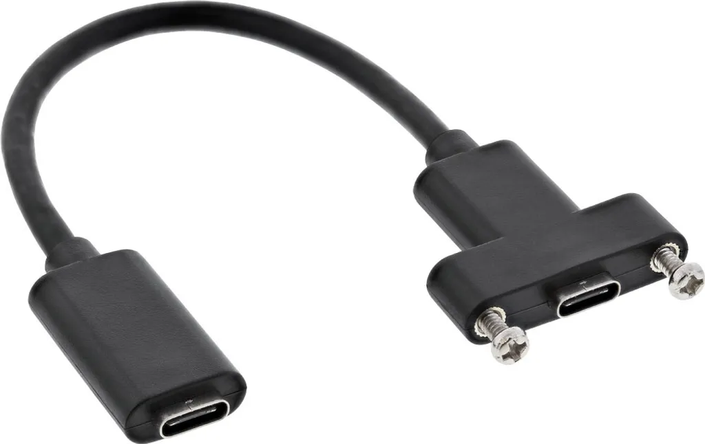 InLine Adattatore USB 3.2 Femmina C a Femmina C da Pannello 0,20m