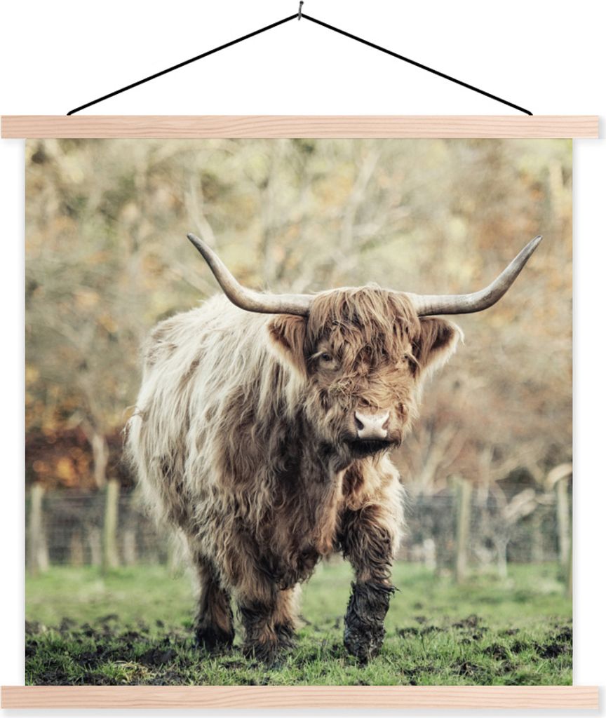 MuchoWow Textilposter Scottish Hochlandrind Bull - Natur - Herbst 120x120 cm mit holzfarbenen Rahmen - Textil-Poster