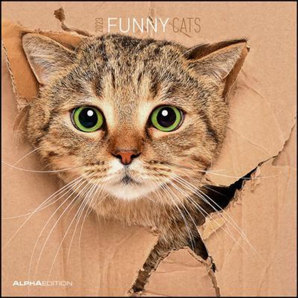Funny Cats 2023 30x30