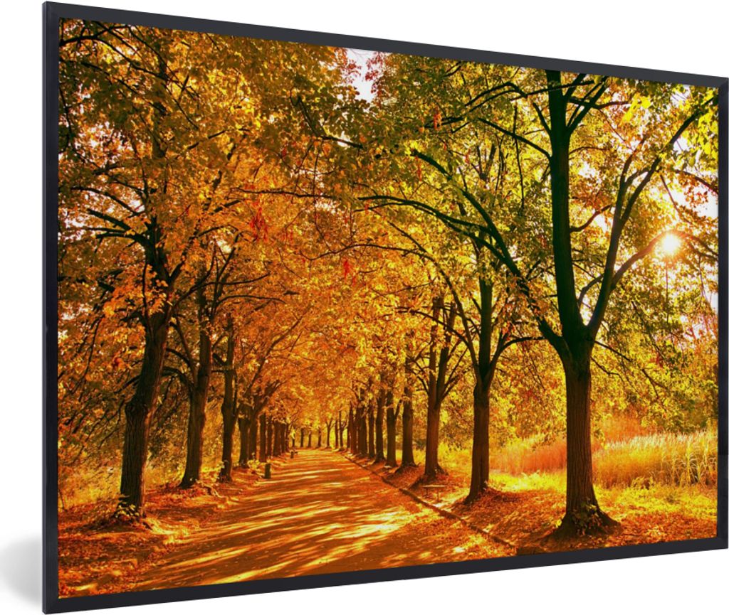 MuchoWow Gerahmtes Poster Wald - Herbst - Jahreszeiten - Ländlich 30x20 cm - Poster mit Schwarzem Bilderrahmen Wandposter Rahmen Foto Bilder - K...