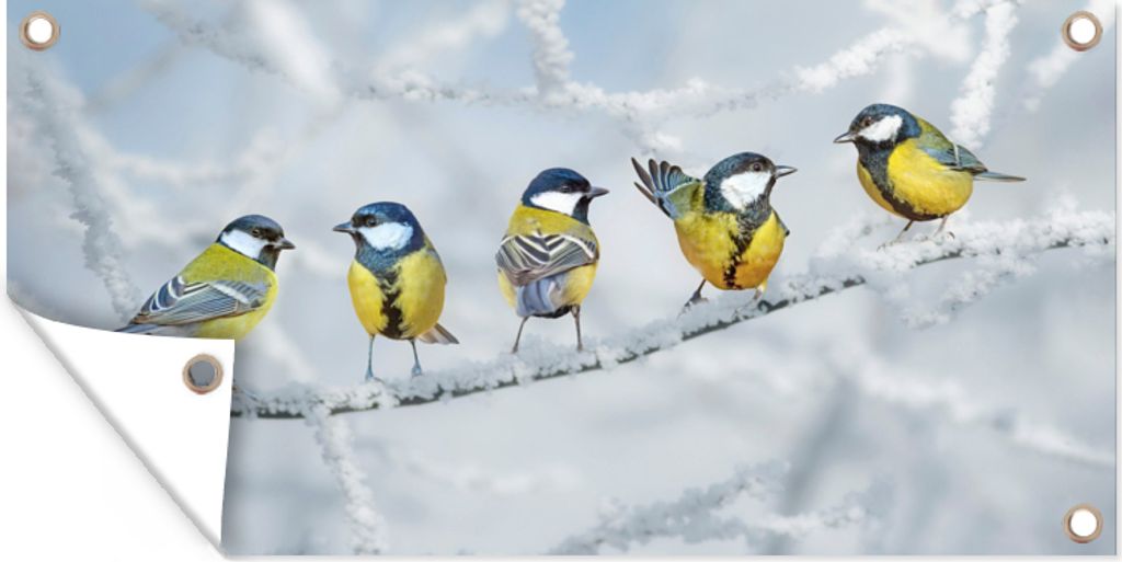 MuchoWow 80x40 cm Outdoor-Poster Gartendeko Sichtschutz Garten Poster für den Garten Vogel - Kohlmeise - Winter - Schnee - Zweige