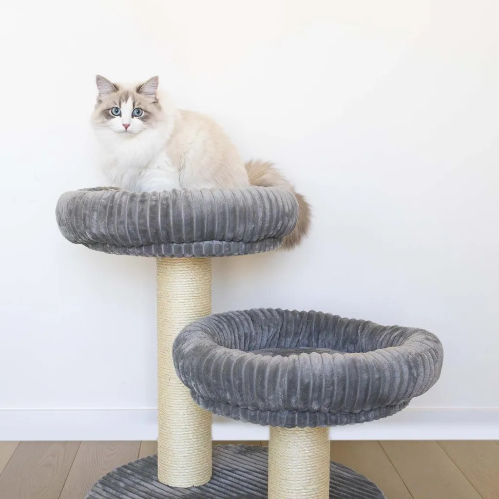 Arbre à chat griffoir robuste pour protéger vos tapis et canapés - 2