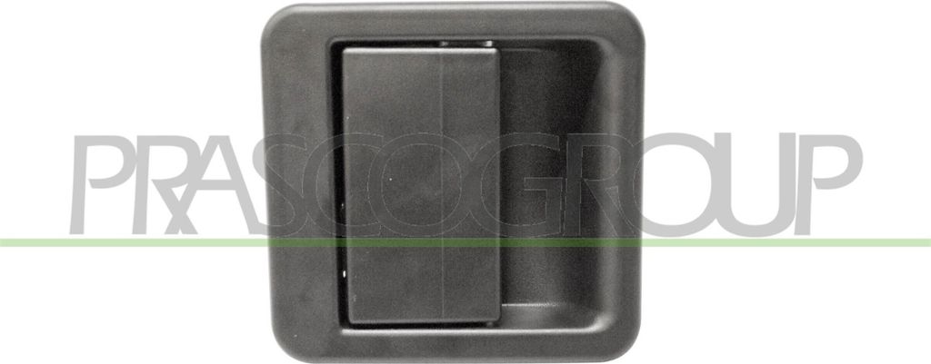 PRASCO FT9198301 - OE 9101 E6 Türgriff, Heckklappe für Ducato, Boxer