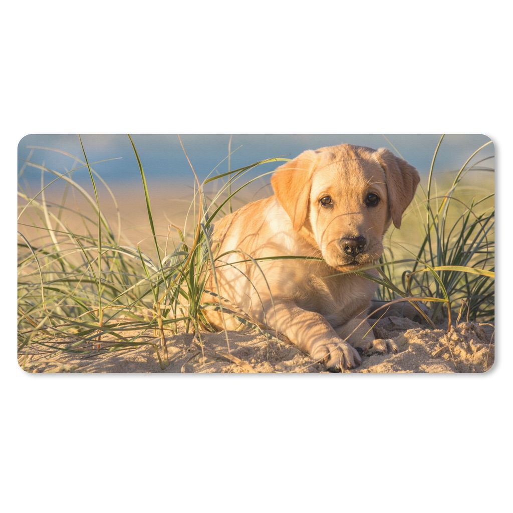MuchoWow Mauspad Mousepad Labrador Retriever Welpe auf den Sanddünen liegend 60x30 cm - Mousepads - Maus Mat - Pad - Mausunterlage - Nachhaltig