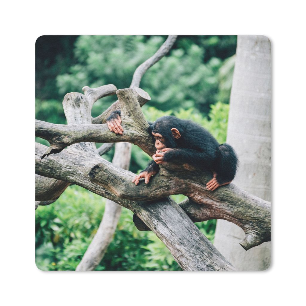 MuchoWow Mauspad Mousepad Junger Schimpanse im Dschungel 30x30 cm - Mousepads - Maus Mat - Pad - Mausunterlage - Gaming