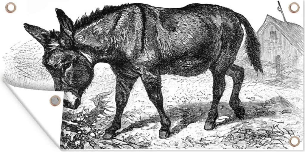 MuchoWow 160x80 cm Outdoor-Poster Gartendeko Sichtschutz Garten Poster für den Garten Eine Illustration eines Esels auf einem Bauernhof