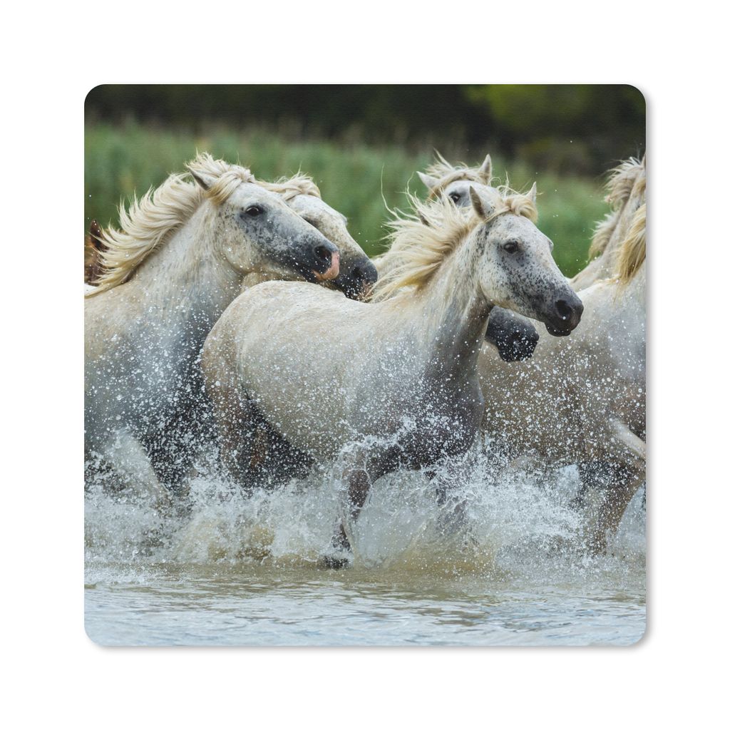 MuchoWow Mauspad Mousepad Pferde - Wasser - Natur 30x30 cm - Mousepads - Maus Mat - Pad - Mausunterlage - Gaming