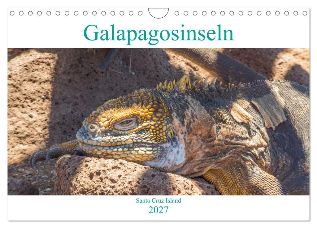 Die Galapagosinseln - Santa Cruz Island (Wandkalender 2027 DIN A4 quer), CALVENDO Monatskalender