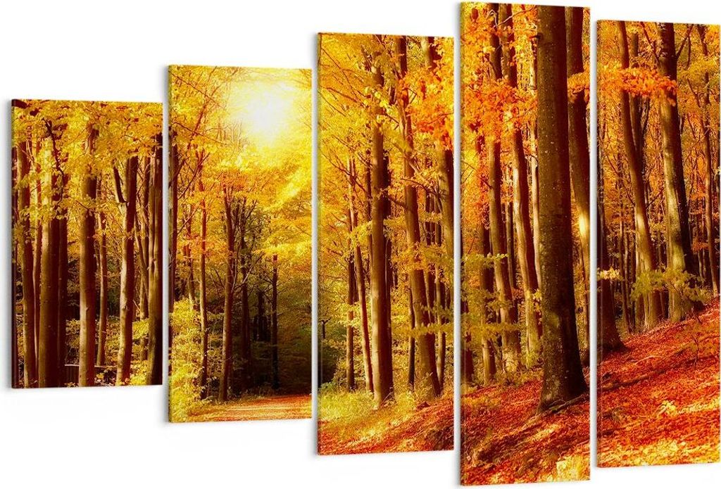Bild auf Leinwand - Leinwandbild - Pfad Blätter Wald - 150x100cm - Wand Bild - Wanddeko - Leinwanddruck - Bilder - Kunstdruck - Wanddekoration - L...