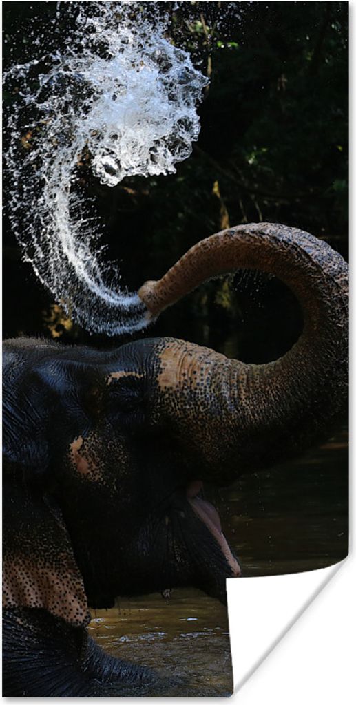 MuchoWow Poster Elefant spuckt Wasser 75x150 cm - Dekoration für die Wände