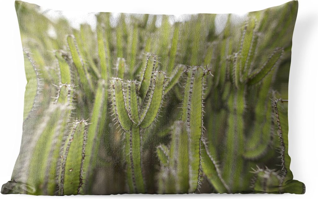 MuchoWow Outdoor Kissen - Gruppe von Kaktuspflanzen - 50x30 cm - Wetterfest - Lounge Kissen - Sofa kissen - Wohnzimmer Dekoration