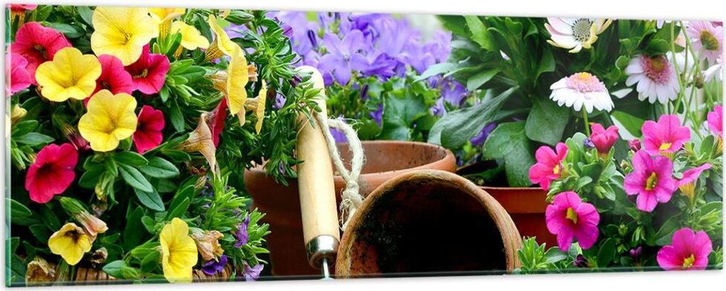 Bilder auf glas - Pflanzen Garten Frühling Natur - 90x30cm - Glasbilder - Wandbilder - Kunstdruck - zum Aufhängen bereit - Wanddekoration aus Gla...