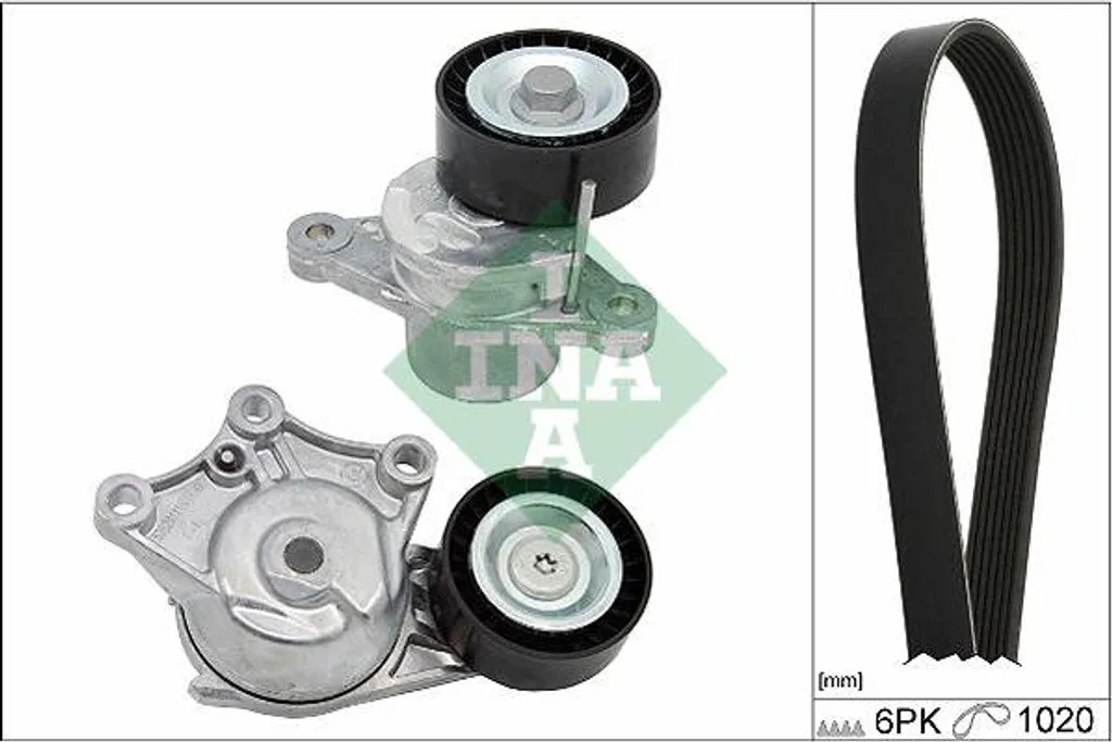 Éliminez les Sifflements Moteur avec le Kit Courroies INA 529032310 OE