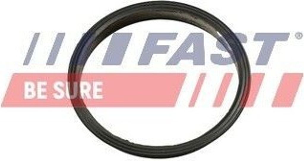 FAST Dichtung Vakuumpumpe FT49853 für FORD RANGER (TKE) 25g Produktbild 