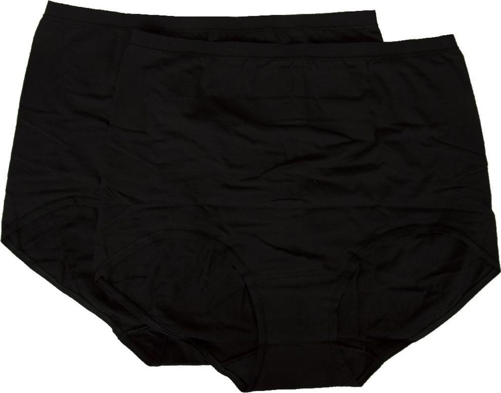 Packung mit 2 Damen Baumwolle Slips Brief mit glattem Rand Bipack RAGNO Artikel 07180Z FLY MAXI, 5-QUINTA (EU L - F 4 - USA M - GB 36), Cotone 94%,...