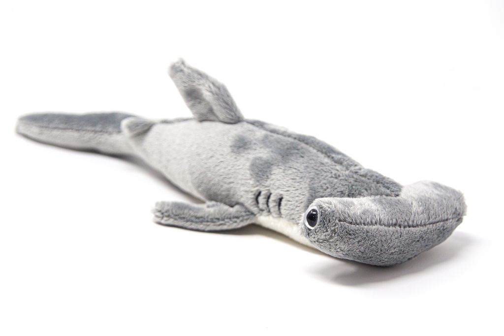 A plush toy hammerhead shark is shown against a white background.