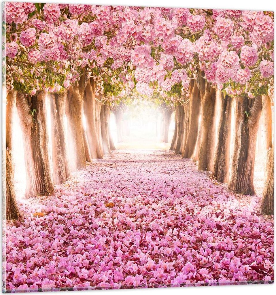 Bilder auf glas - Baum Blumen Kirsche Natur - 60x60cm - Glasbilder - Wandbilder - Kunstdruck - zum Aufhängen bereit - Wanddekoration aus Glas - Gl...