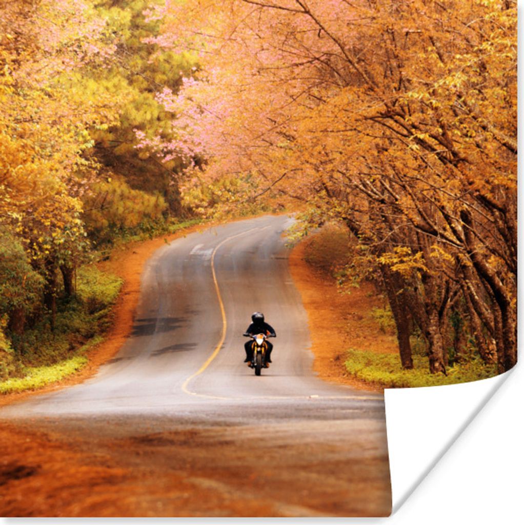 MuchoWow Poster Motorrad zwischen Herbstbäumen 50x50 cm - Wohnzimmerdekoration