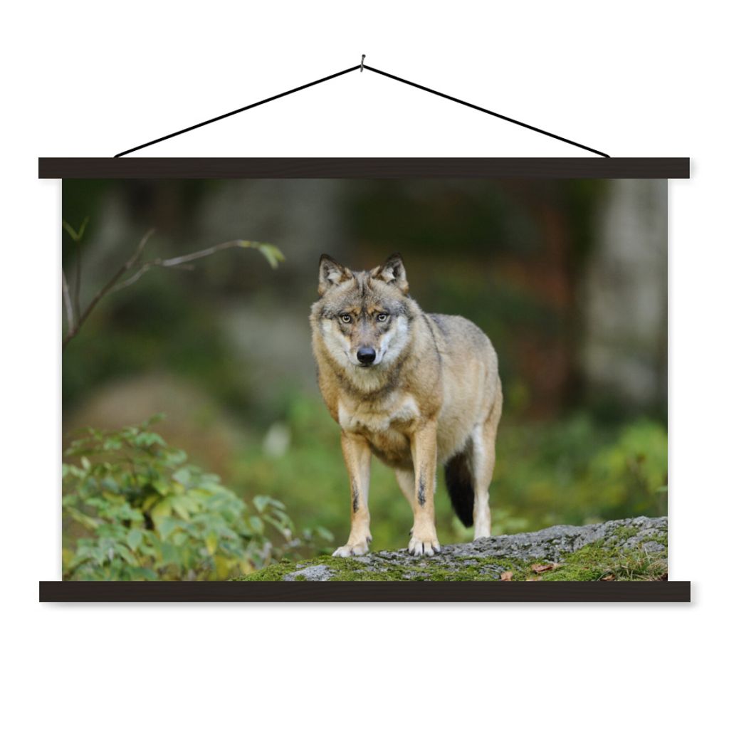 MuchoWow Textilposter Wolf - Asien - Pflanzen 150x100 cm mit schwarzem Rahmen - Schlafzimmer