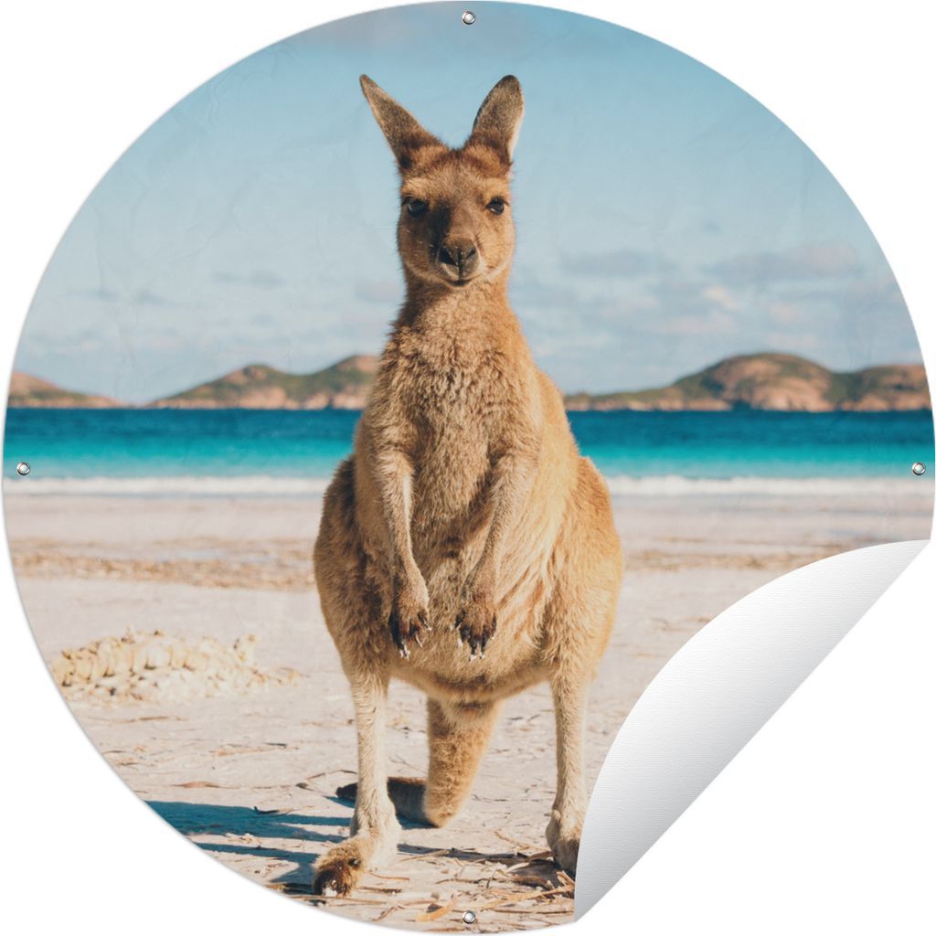 MuchoWow Gartenposter Outdoor-Poster Rund Känguru - Strand - Meer Ø 90 cm Gartendeko Rundes Poster draußen
