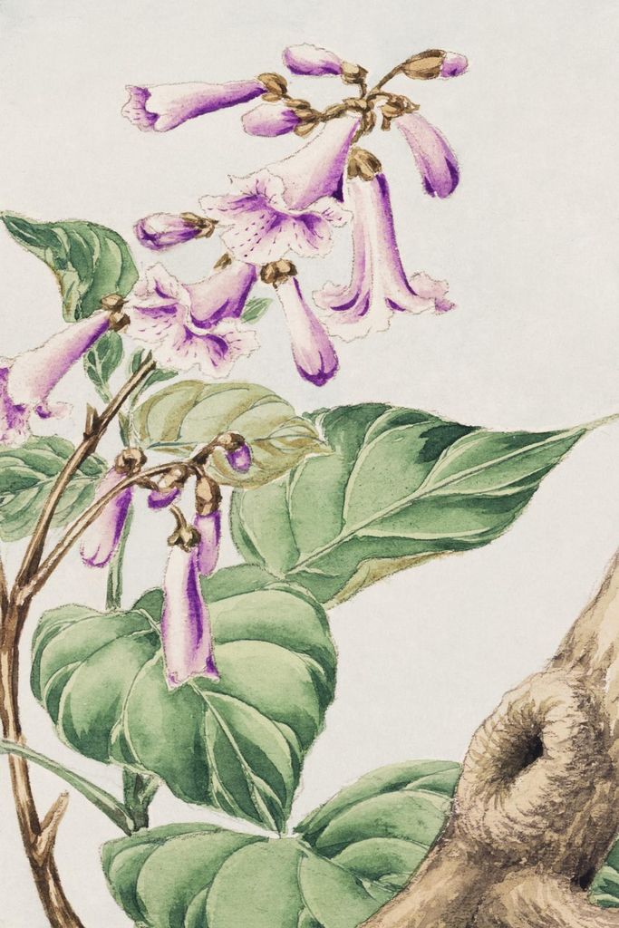 Plakat 20x30cm Kiri, Morikaga Japanischer Vintage für das Wohnzimmer