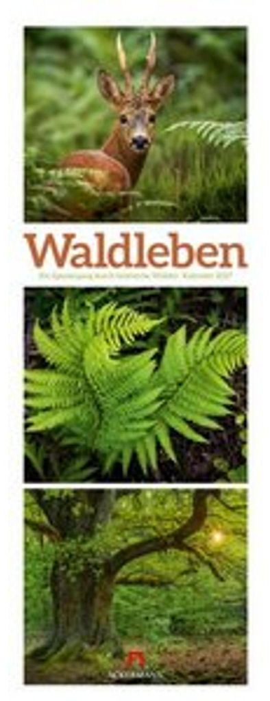 Calendrier Waldleben Triplet 2027 | Promenade dans les Image du produit 