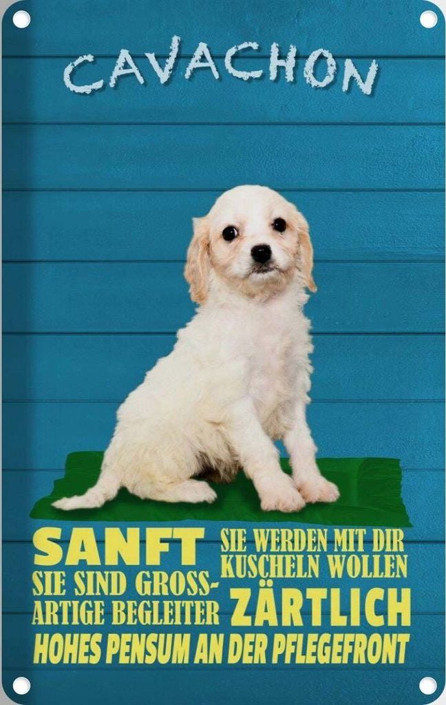 vianmo Blechschild 18x12 cm Cavachon Hund sanft zärtlich Tier Haustier