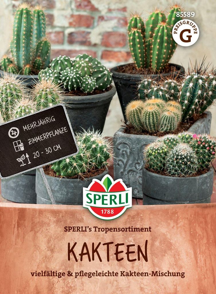 Artikelbild 2 von 'Kakteen Tropensortiment' aus der Kategorie Kaktussamen