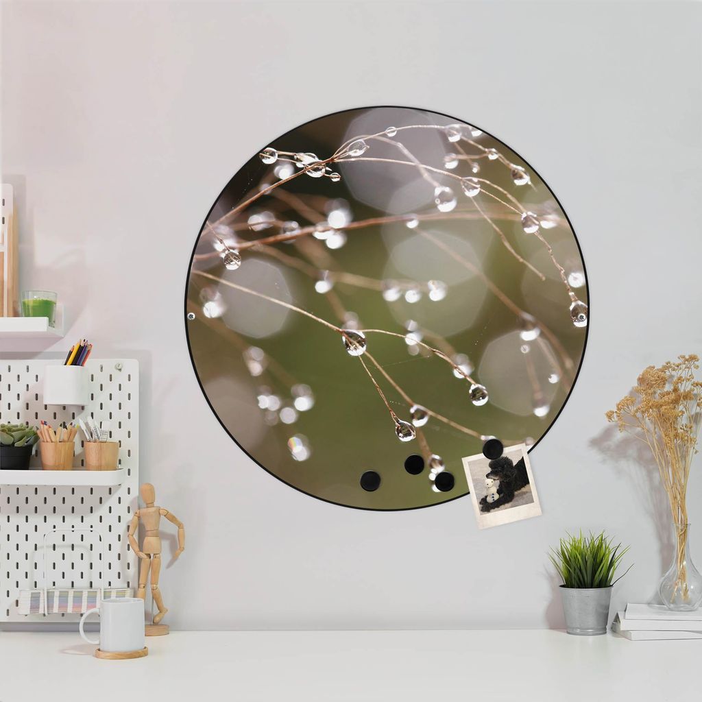 Design Stahlmagnettafel Schwarz Rund 47cm Tau Auf Zweigen