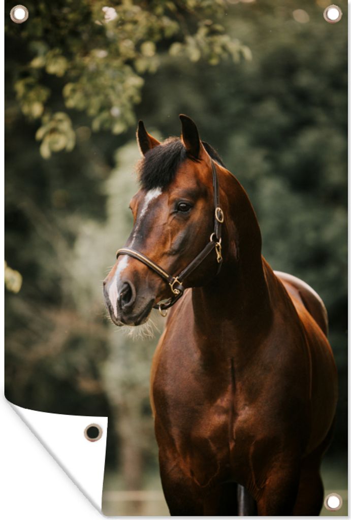 MuchoWow 60x90 cm Outdoor-Poster Gartendeko Sichtschutz Garten Poster für den Garten Pferd - Äste - Porträt