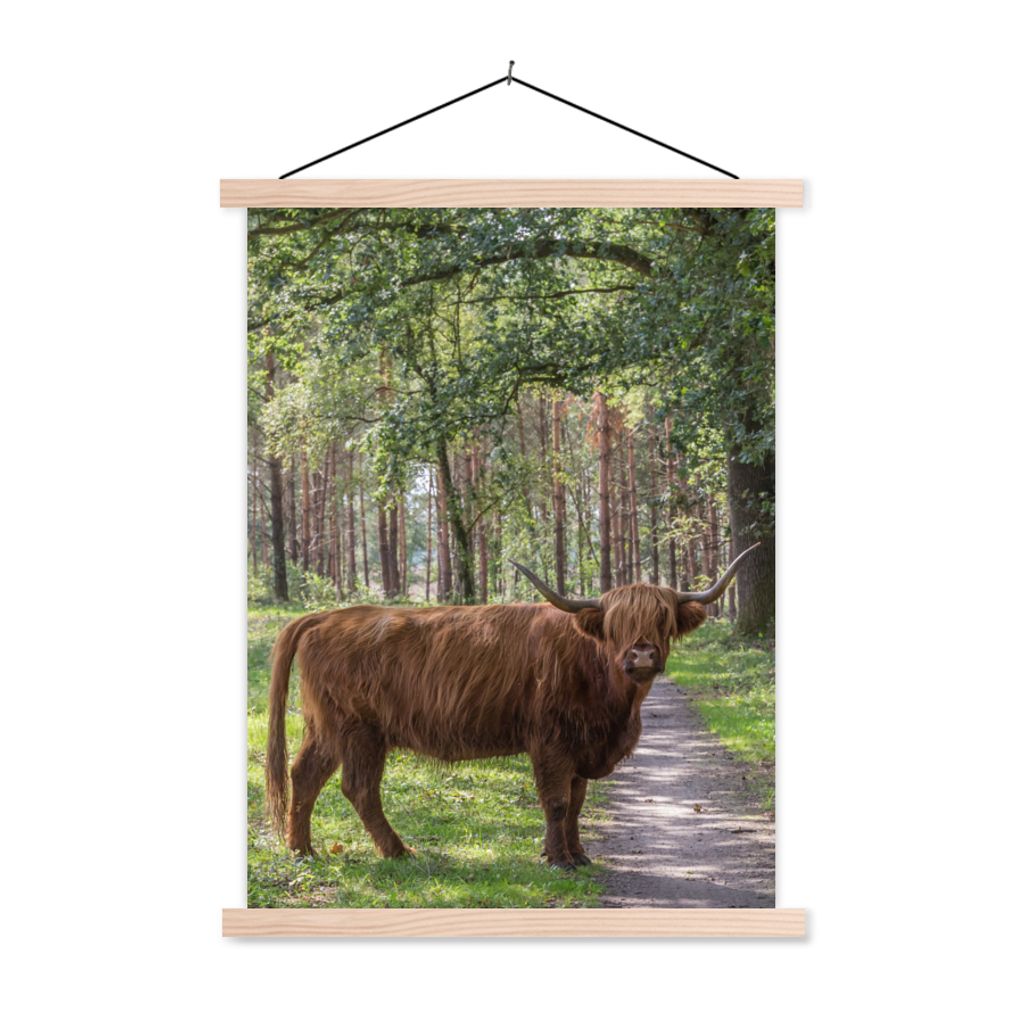 MuchoWow Textilposter Schottischer Highlander - Kröte - Baum 120x160 cm mit holzfarbenen Rahmen - Plakatkarton