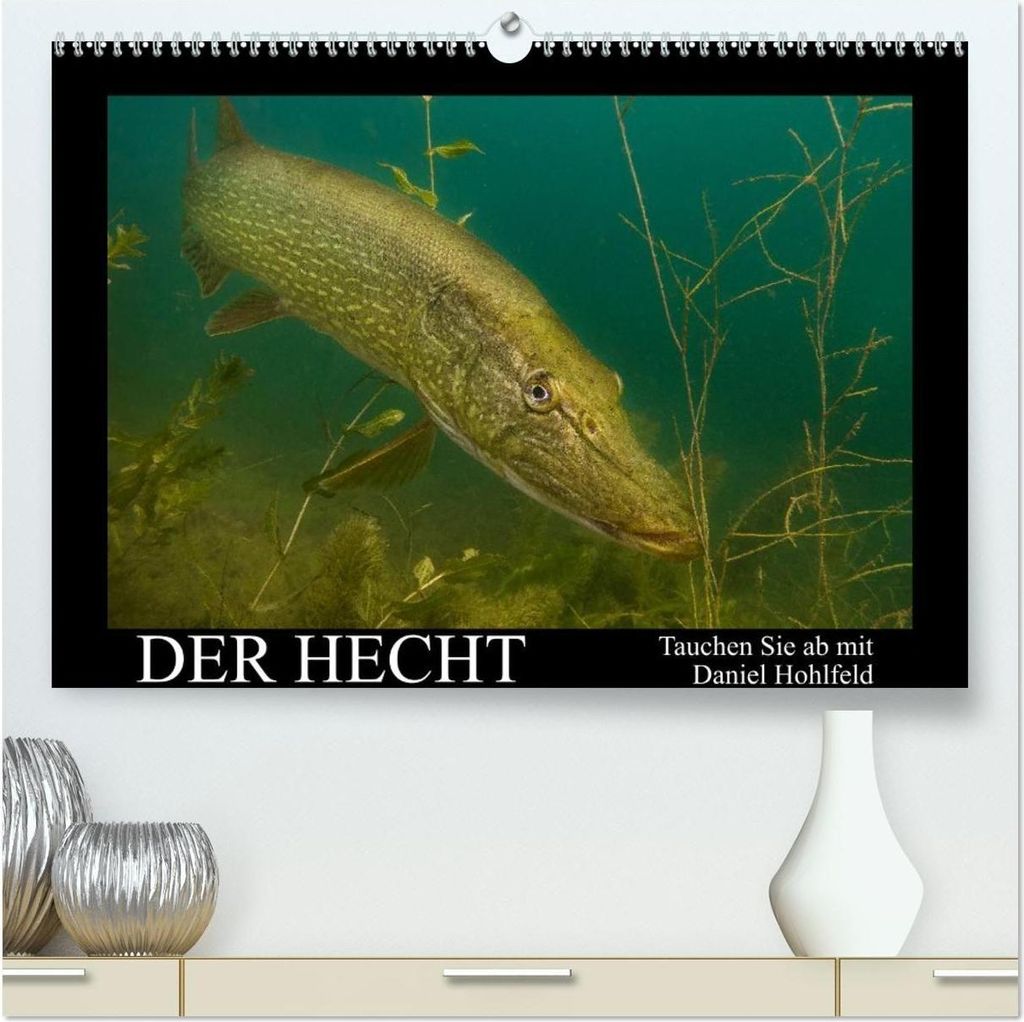 Der Hecht - Tauchen Sie ab mit Daniel Hohlfeld (hochwertiger Premium Wandkalender 2026 DIN A2 quer), Kunstdruck in Hochglanz