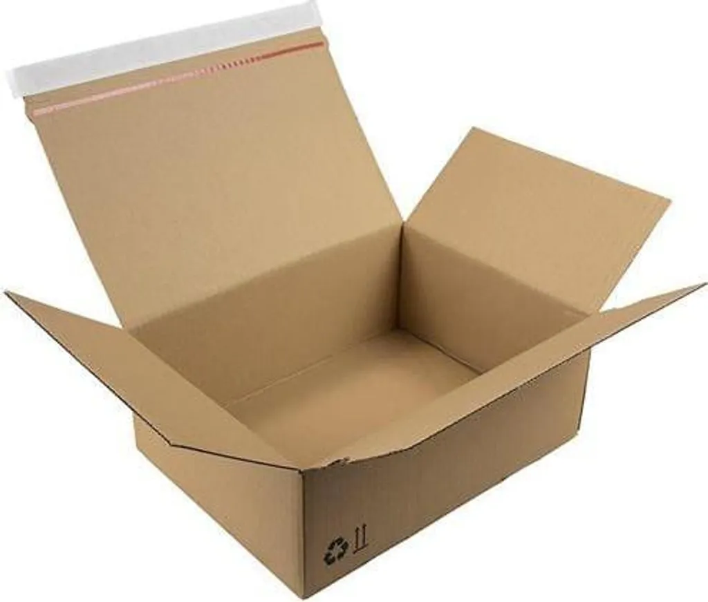 Carton montage rapide 310x230x110mm qualité 1.20B fond automatique SK