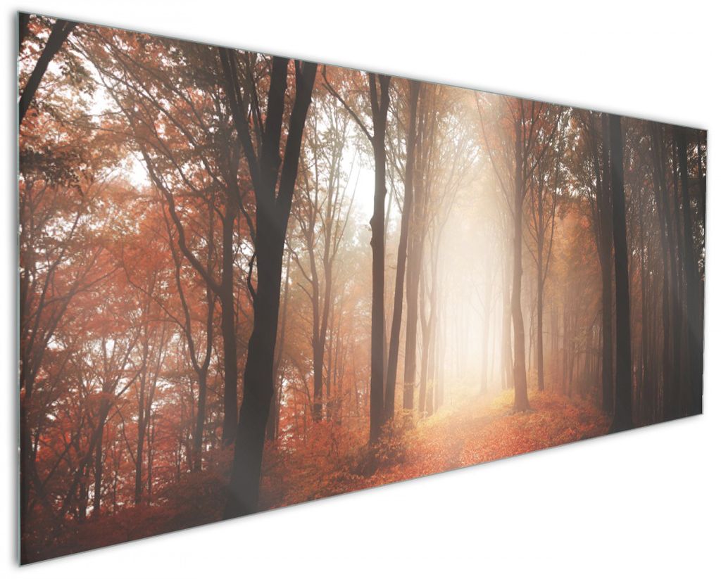 Wallario Küchenrückwand aus Glas, Größe: 125 x 50 cm, Motiv: Herbstwald - Weg zu einer Lichtung im Wald | Spritzschutz | abwischbar | pflegelei...