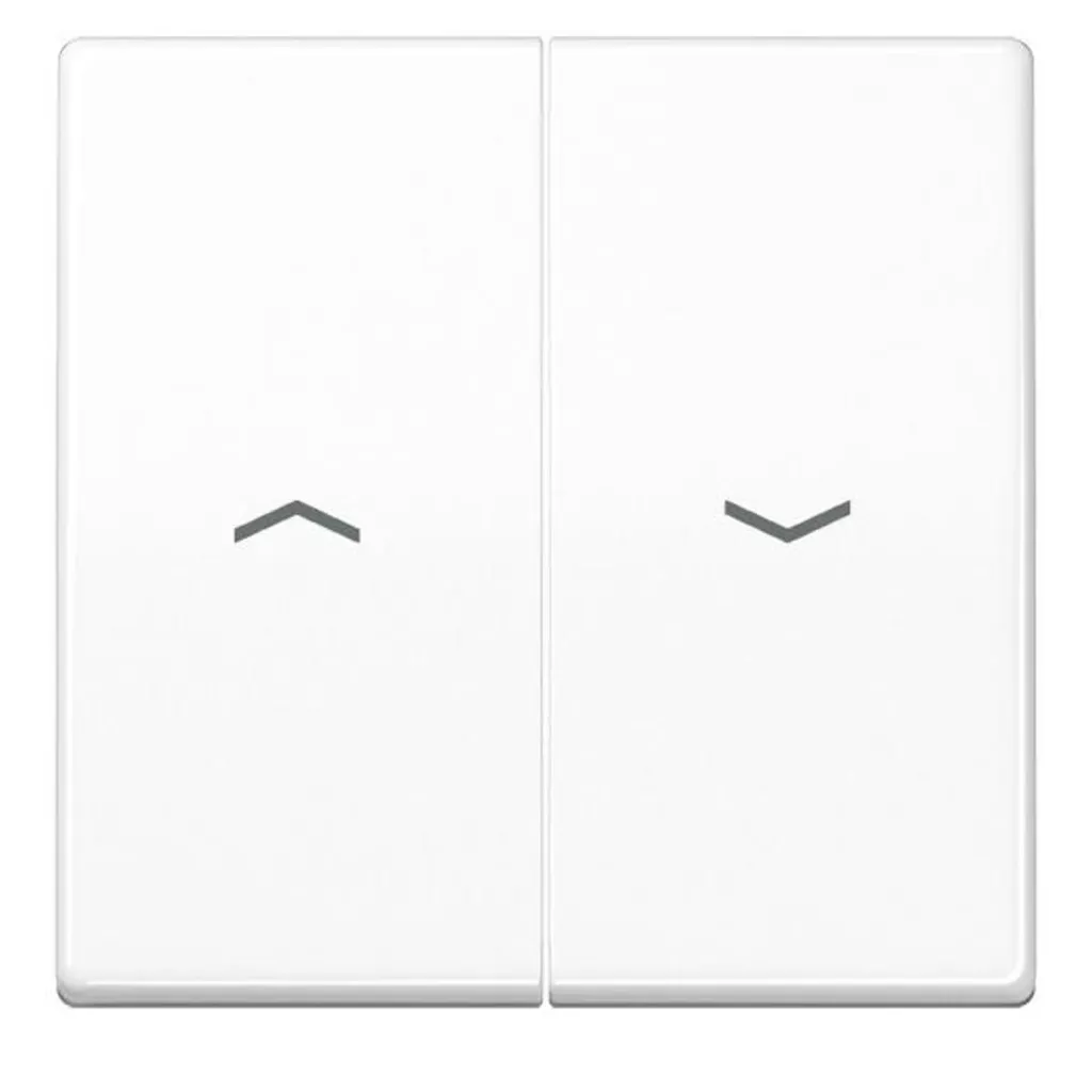 JUNG Bascule 2T Store AS500 - Interrupteur Store Incassable - AWS