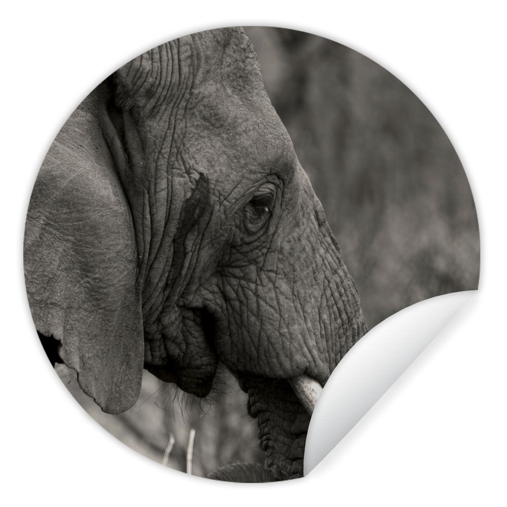 MuchoWow Runde Wandtattoo - Wandsticker Tapete Aufkleber Elefant - Tiere - Schwarz - Weiß Ø 80 cm Selbstklebend und Repositionierbar - Wandaufk...