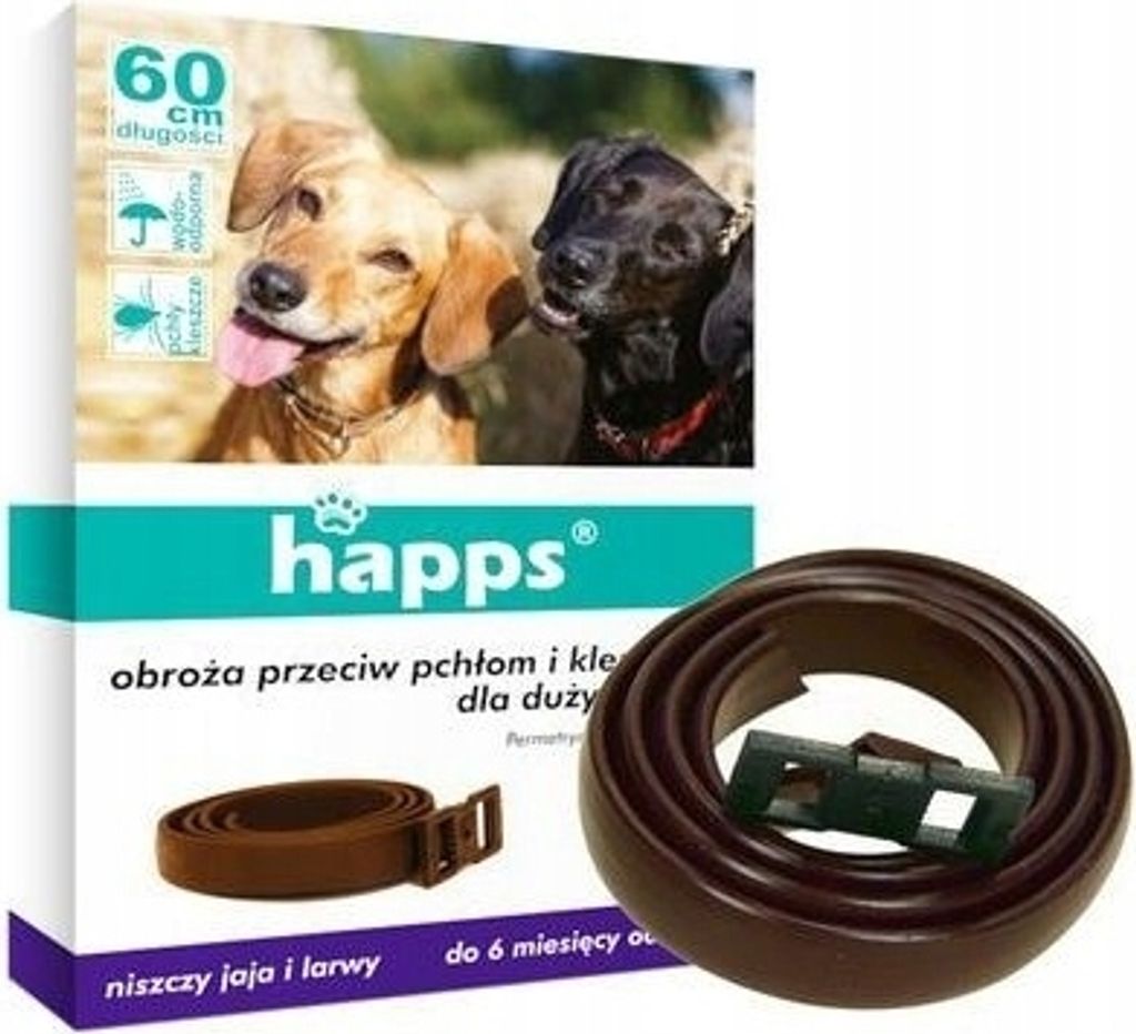breites halsband fr kleine hunde Hundehalsband Outdoor-bunt | Robust, Leicht & Individuell