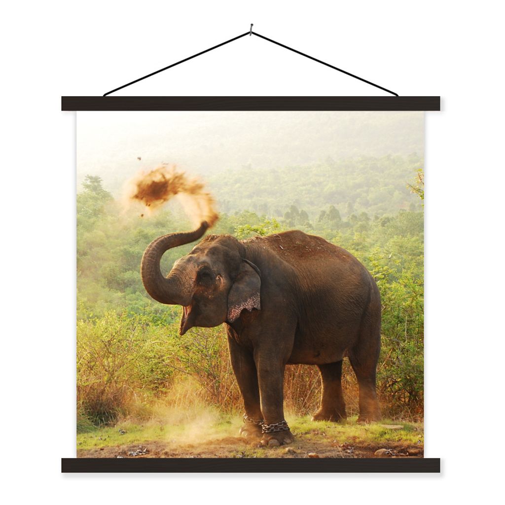 MuchoWow Textilposter Elefant - Tiere - Wald - Bäume 90x90 cm mit schwarzem Rahmen - Magnetisches